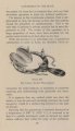 Corbus Scrotal Thermophore1.jpg